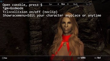 Skyrim console commands! (Godmode, Noclip, Showracemenu & qasmoke) PC