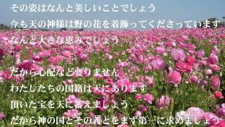 Take therefore no thought for the morrow