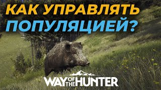 [ГАЙД] КАК УПРАВЛЯТЬ ПОПУЛЯЦИЕЙ И ВЫРАСТИТЬ ТОПОВЫЙ ТРОФЕЙ 🎮 Way of the Hunter