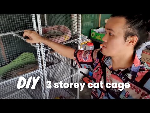 Video: Sådan laver du en Chinchilla Cage