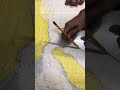HOW TO PLOT WAYPOINTS ON PAPER CHARTS!