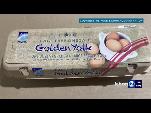 Egg recall One person in Hawaii sick from Salmonella outbreak
