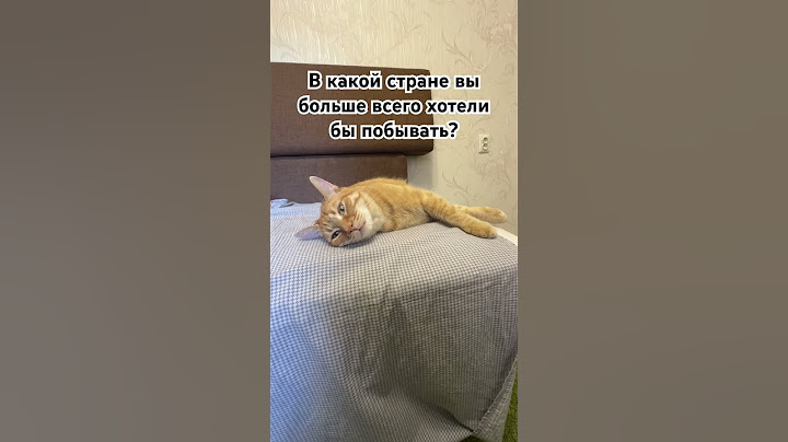 Можешь подписаться, если не жалко:) ну а ссылка на мой тгк в шапке профиля😉 #cat #милота #кот #cute