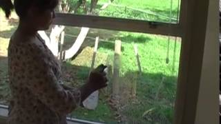 Frosted Sticker Installation - Step-By-Step