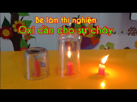 Video T10_Bé làm thí nghiệm