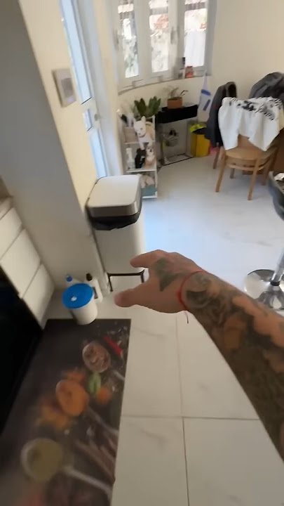 Niki is the most celebrity chihuahuain🍕🍍🥳🍓🍫🥳