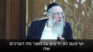 הרה"ג הרב ווכטר שליט"א - איך להסתכל על הנפש הבהמית