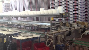 Working line for tomatoes - Squalo Flowpack machine