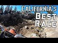 California's Best Race - The Donner Hare Scramble