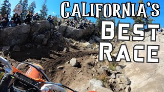 California's Best Race  The Donner Hare Scramble