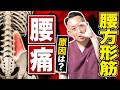 【盲点】腰痛で揉む前に腰方形筋を疑え