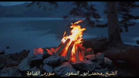 ابداع فضيلة الشيخ محمد عبدالرحيم ابو السعود في سوره القيامه بصوت ملائكه