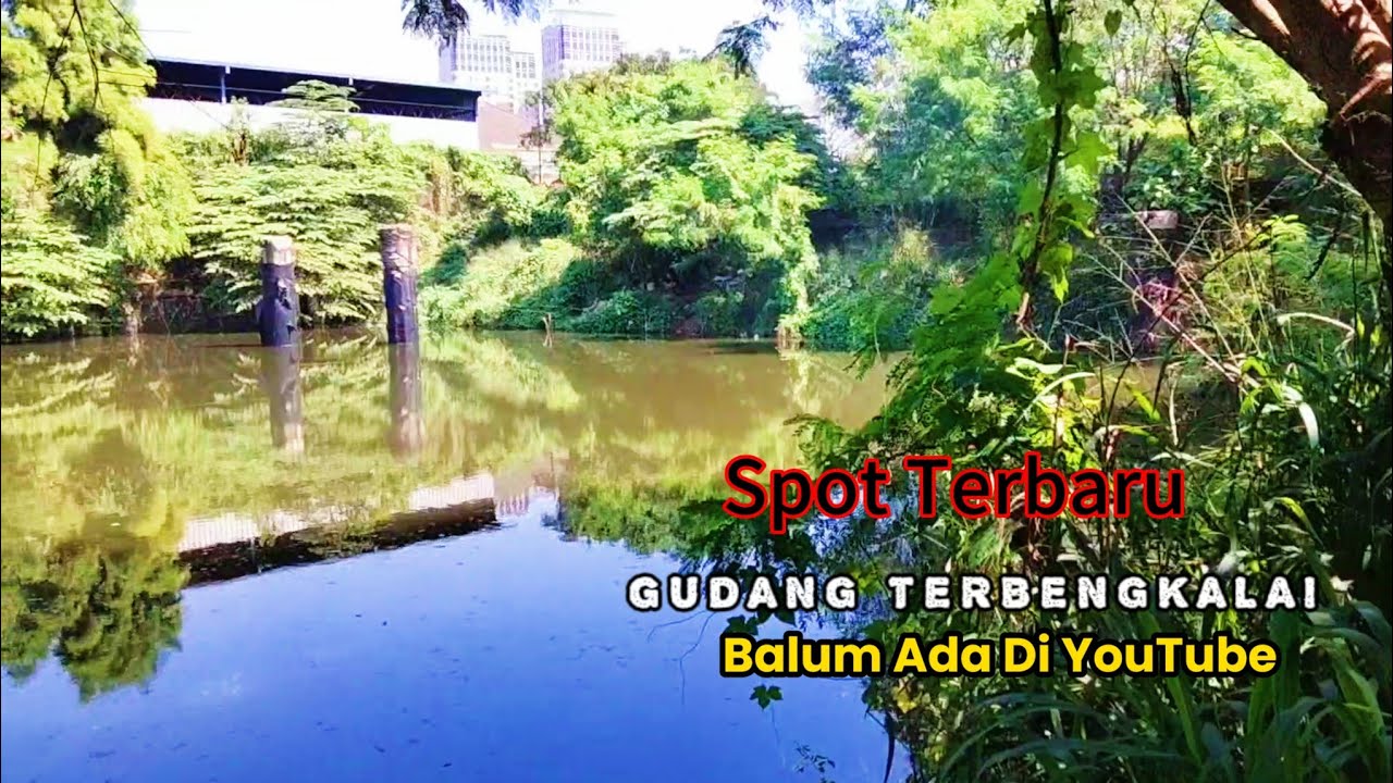 Spot Mancing Liar Terbaru Di Jakarta || Jl. Limo