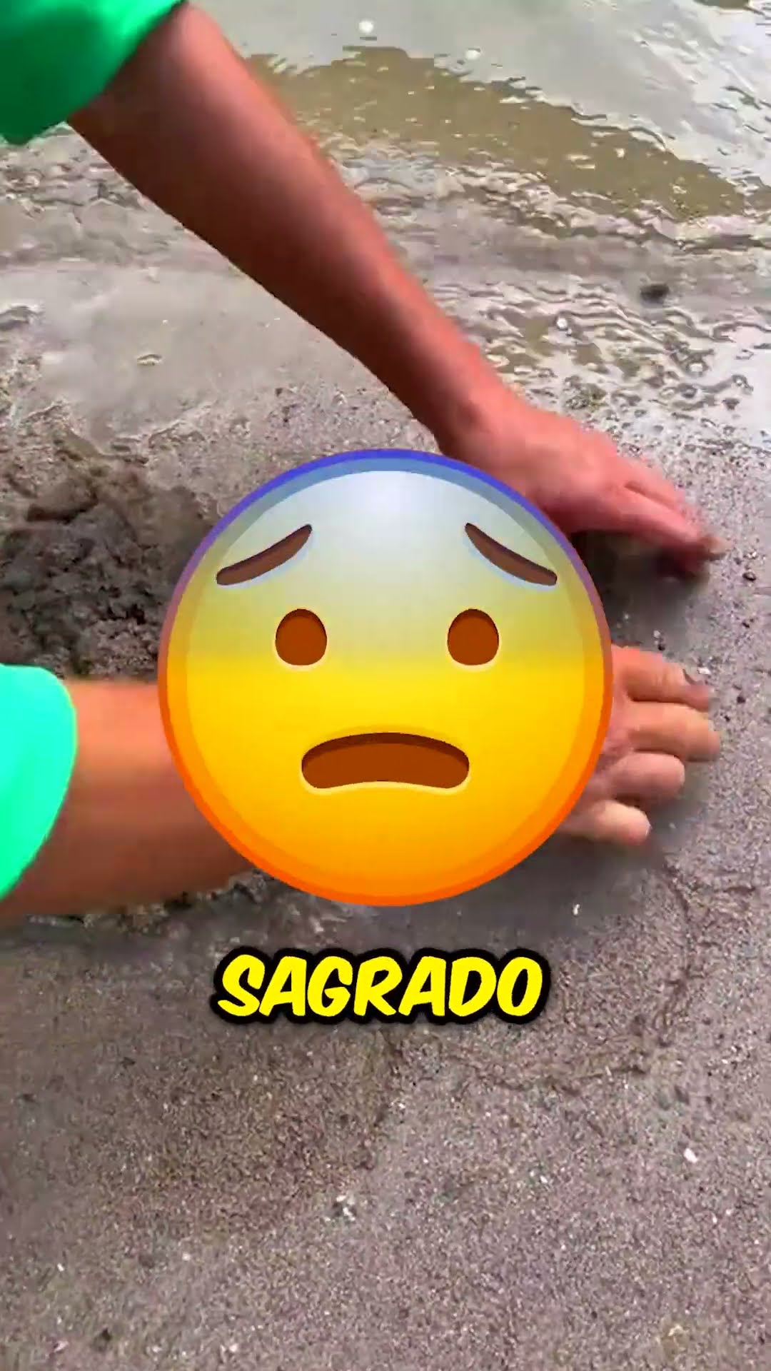 Mujer salva a un bebé animal ?