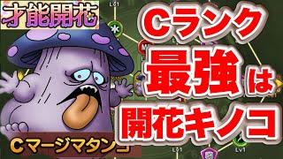 【ドラクエタクト】今回の開花で一番の当たり？マージマタンゴ開花でCランク最強かもな件