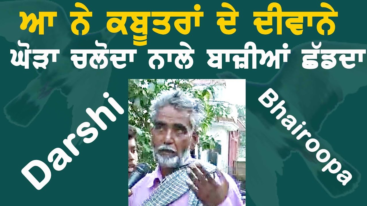 ਆ ਨੇ ਕਬੂਤਰਾਂ ਦੇ ਦੀਵਾਨੇ -DARSHI BHAIROOPA-kabootar Baz-2023