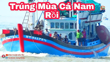 🔴 Ghe Lưới Rút Cà Ná Về Cảng Lagi Bán Cá Cơm