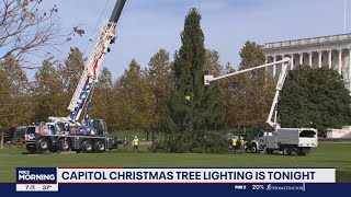 2023 US Capitol Christmas Tree lighting ceremony keeps tradition alive