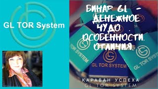 GL TOR System Бинар Денежное ЧУДО Особенности  Отличия