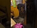 Крутейший стул в кафе у водопада КИВАЧ