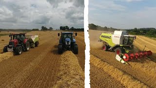 Moisson 2020 en Bretagne | Lexion 760 | Orge 2020 | Claas | Case | Harvest 2020 | ernte 2020