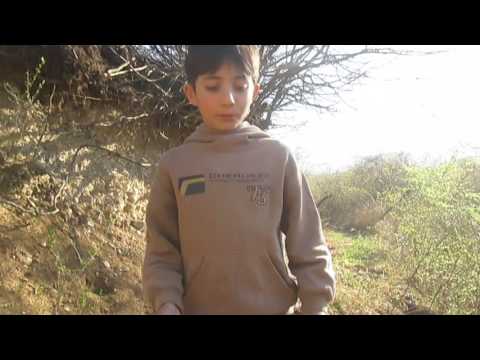 პირველი ვიდეოა და ცოტა ცუდი გამოვიდა ვეცდები შემდეგი უფრო კარგი გამოვიდეს