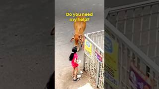 Why Harm The Ones We Love?