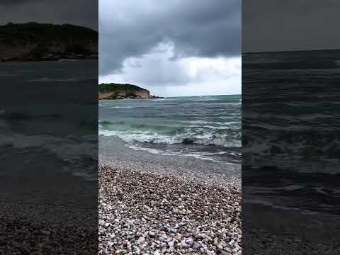 Video: ¿Cuál es el tono de una ola?