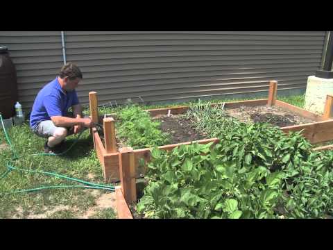 Worksite Wellness Programs