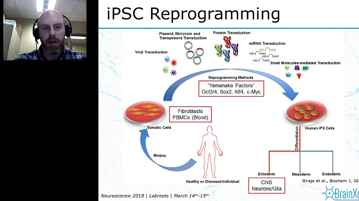 IPSC-Derived Human Neurons: Introduction and Application - DayDayNews