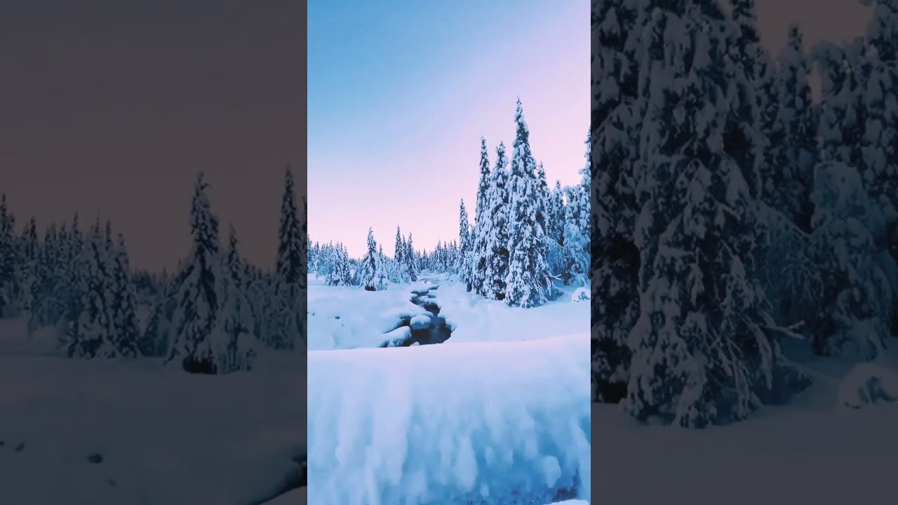 Winter Status Short | Nature Videos | Snowfall in Winter Shorts 