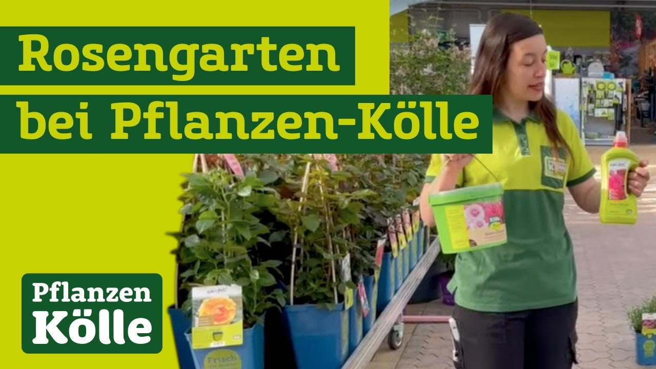 zitruspflanzendünger für olivenbaum Rasenmax Zitrusdünger und Olivenbaumdünger 1 L – Rasenmax.com main image 1
