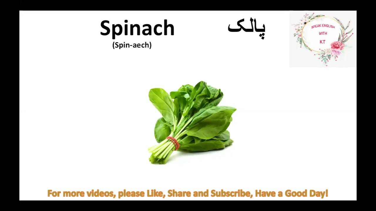 Spinach Palak correct pronunciation YouTube