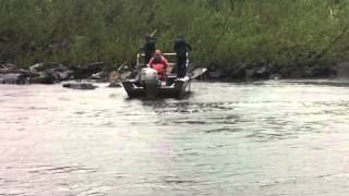 Maryland DNR Electro Fishing/Shocking Potomac