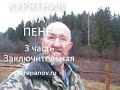 Курятник на пене, заключительная часть.