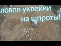 Кастинговая сеть рыбалка! Уклейка на шпроты! Сигушка на кастинговую сеть! cast net fishing!