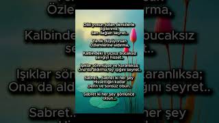 Aşk Nâme (23)