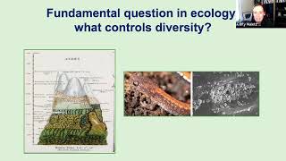Skin defenses and microbial diversity in salamanders and frogs