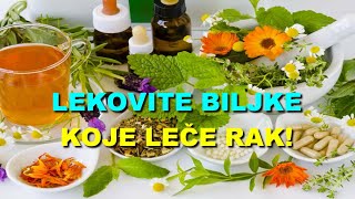 LEKOVITE BILJKE KOJE LE?E RAK!