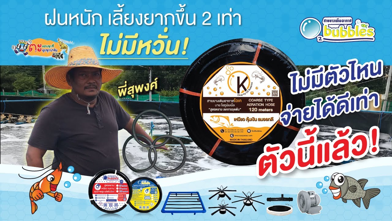 🦐 บ่อลอยคุณสุพงศ์ ไม่มีแบบไหน ให้ออกซิเจนใต้น้ำได้ดีเท่าสายยางเติมอากาศ OK By O2bubbles อีกแล้ว 👍🏼