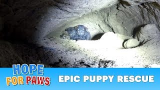 Epic puppy rescue  18 feet into the earth!!!  Dangerous Hope For Paws rescue! #puppy