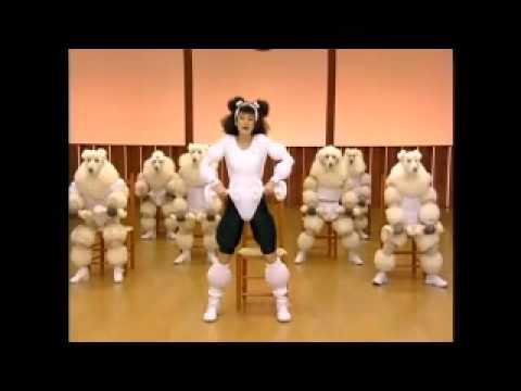 poodle-exercise-video