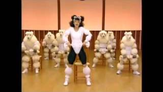 Poodle exercise video