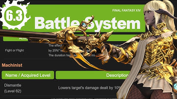 6.3 Job Changes - Solid Paladin Rework and Return of Machinist?