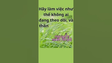 Hãy làm việc như thể .... #trendingshorts #baihoccuocsong #trietlysong #trietlycuocsonghaynhat