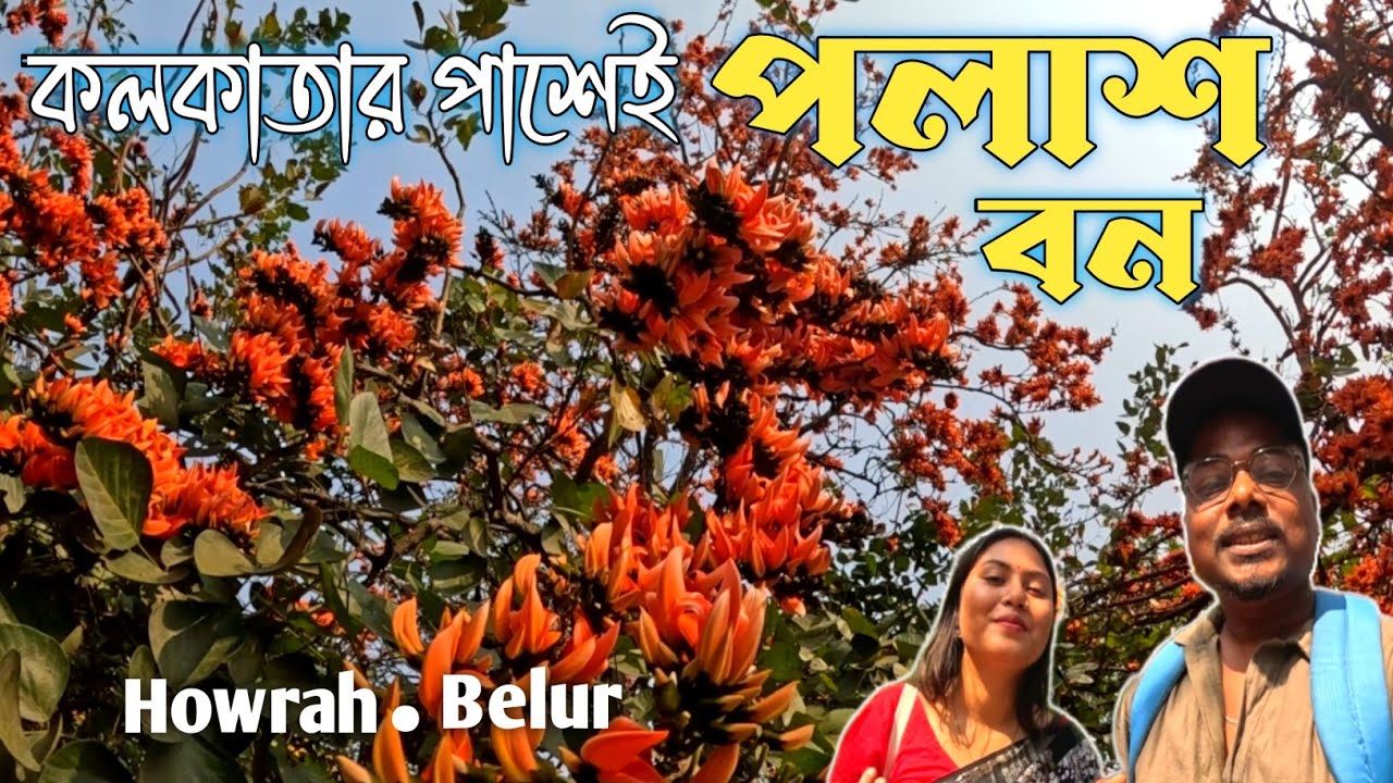 Belur Palash Bagan 🌸 | Hidden Spring Spot in Howrah | A Piece of Purulia in Belur |