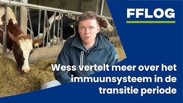 Wess vertelt meer over het immuunsysteem in de transitie periode