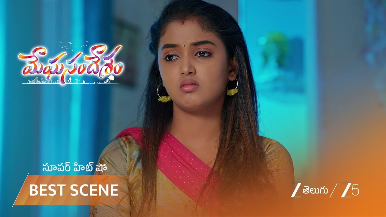 MEGHASANDESAM | పడుకోకుండా గగన్ ని ప్రశ్నలతో విసిగిస్తున్న భూమి