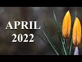 ASTROLOGY#FORECAST#FUTURE#HOROSCOPE#APRIL#SIGNS#                   APRIL 2022 FORECAST