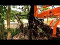 TRACTOR DESTROYS OLD STUMP AND NEW FENCE FOR 140 YEAR OLD FARM